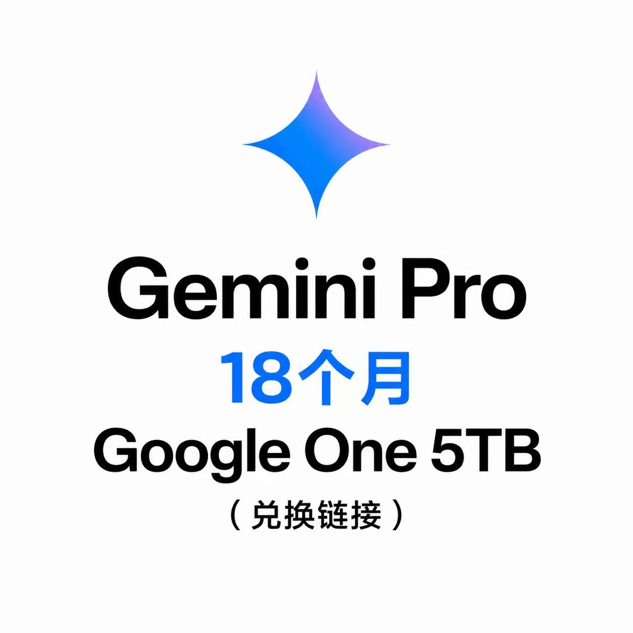 Gemini Pro 18个月链接（无售后）